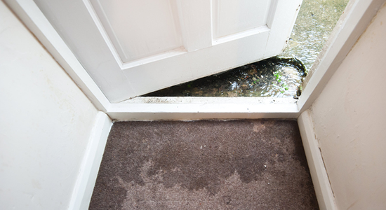 Water Damage Cleanup & Water Damage Restoration